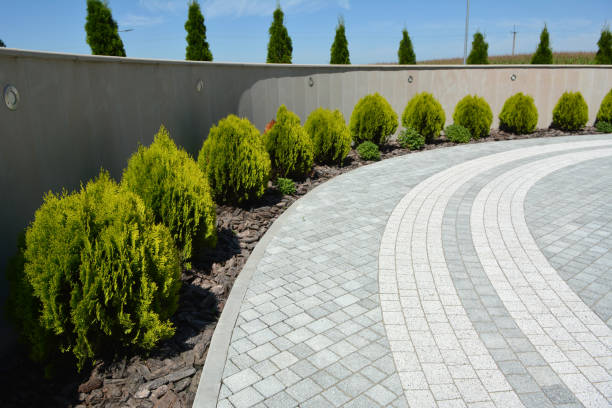 Best Driveway Drainage Solutions in Farmington, MN